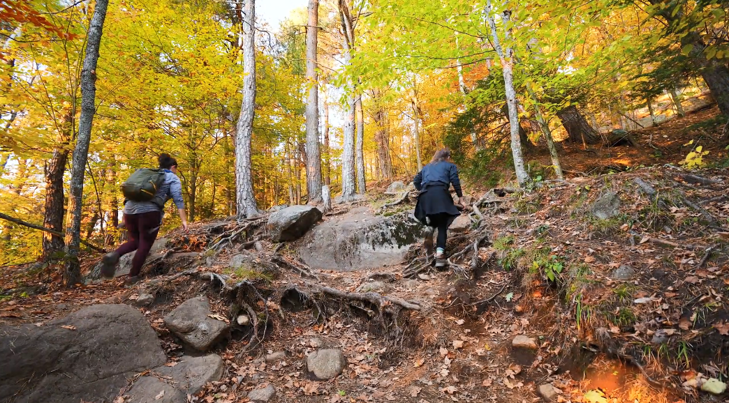 VIDEO: Adirondack Wilderness and Overuse